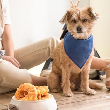 Jungle Calling Dog Treats Long Lasting, Rawhide Chews for Dogs, Chicken Wrapped Rawhide Donuts, Chewy Snacks for Medium Large Dogs - Image 6