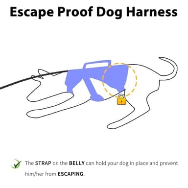 Huntboo Escape Proof Dog Harness, Escape Artist Harness, Reflective Dog Harness with Handle, Durable,Adjustable Vest for Small Medium Large Dogs Walking, Training, and Running Gear(Technicolor Blue,M) - Image 2