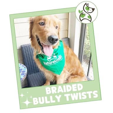 Nature Gnaws Braided Bully Twists for Dogs 5-6" (10 Count) - Long Lasting for Small and Medium Dogs - Natural Beef Dog Chew Bones - Image 7