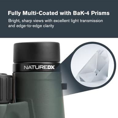 Celestron - Nature DX 8x42 Binoculars – Ideal for Birding and Outdoors – 42mm Objective Lenses – Wide 7.4° Field of View – BaK-4 Prisms – Fully Multi-Coated – Waterproof and Fogproof - Image 3