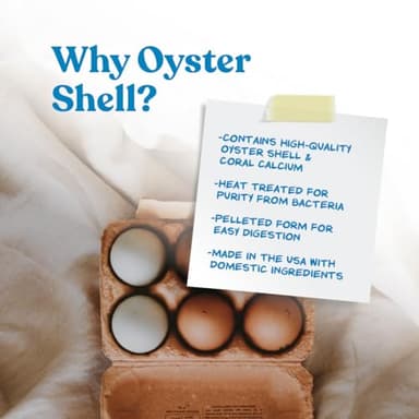 Manna Pro Crushed Oyster Shell for Chickens – Calcium Supplement for Laying Hens to Support Strong Eggshells – Natural Poultry Mineral Feed for Backyard Chickens – 5 lb Bag - Image 3