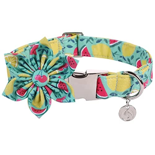DOGWONG Flower Dog Collar for Female or Male Dogs, Summer Green Pet Collar Adjustable Dog Collars with Flower for Medium Dogs - Image 1