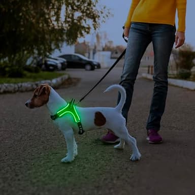 Light Up Dog Harness Rechargeable No Pull Rainproof Dog Vest with Handle for Night Walking, Lighted Dog Harness for Small Medium Large Dogs (Green, M) - Image 5
