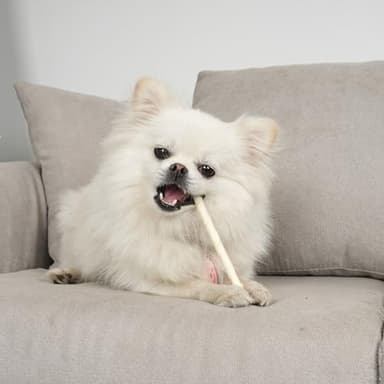 MON2SUN Dog Rawhide Twist Sticks Natural 5 Inch Thin Sticks Rawhide Chews Treats for Puppy and Small Dogs 120 Count - Image 7