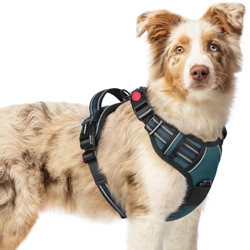rabbitgoo Dog Harness Medium Sized, No Pull Pet Harness with 3 Buckles, Adjustable Soft Padded Vest with Control Handle, Walking Reflective Pet Vest for Medium Dogs, Blue Coral, M - Image 1