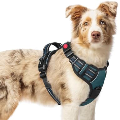 rabbitgoo Dog Harness Medium Sized, No Pull Pet Harness with 3 Buckles, Adjustable Soft Padded Vest with Control Handle, Walking Reflective Pet Vest for Medium Dogs, Blue Coral, M - Image 1