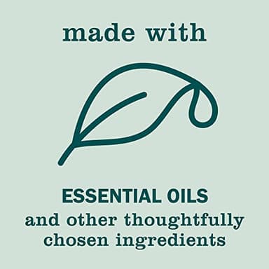 MRS. MEYER'S CLEAN DAY Liquid Hand Soap, Birchwood Scent, 12.5 fl oz (Pack of 3) - Image 6