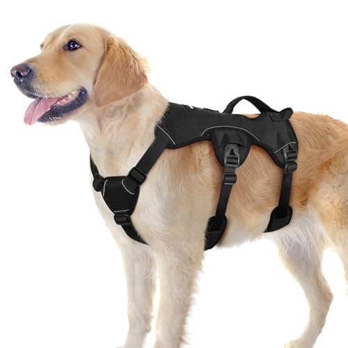 rabbitgoo Escape Proof Dog Harness, Soft Padded Full Body Pet Harness, Reflective Adjustable No Pull Vest with Lift Handle and Leash Clip for Large Dogs Walking Hiking Training, L, Black - Image 1