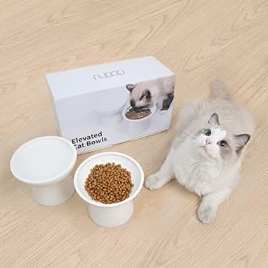 CEEFU 2 Elevated Ceramic Cat Bowls Extra Wide for Food & Water – Whisker Fatigue Shallow Food Dish, Lead & Cadmium-Free, Raised Height for Cats and Dogs, Two Different Depth Bowls, White - Image 4