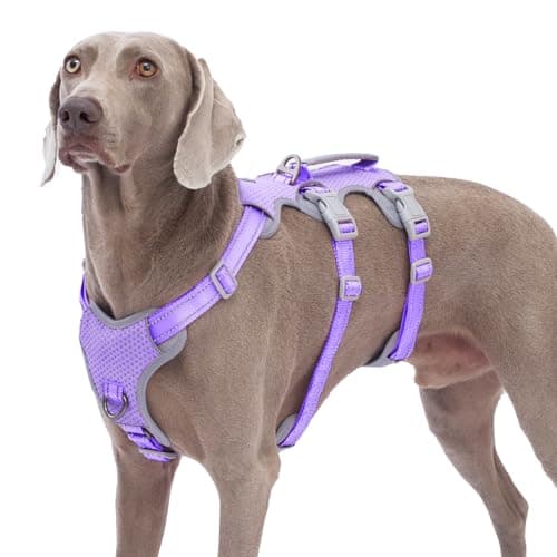 Huntboo Escape Proof Dog Harness,No Pull Reflective Harness with Lift Handle,Adjustable Pet Vest with Front and Back Leash Clips for Small Medium Large Dogs Walking Hiking Training(Lavender Purple,XL) - Image 1