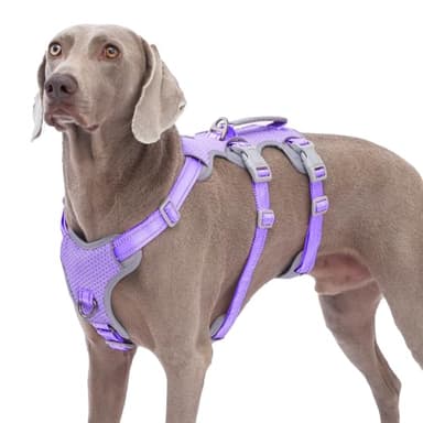 Huntboo Escape Proof Dog Harness,No Pull Reflective Harness with Lift Handle,Adjustable Pet Vest with Front and Back Leash Clips for Small Medium Large Dogs Walking Hiking Training(Lavender Purple,XL) - Image 1
