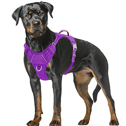 BARKBAY No Pull Dog Harness Large Reflective Dog Harness with Front Clip and Easy Control Handle for Walking Training Running with ID tag Pocket(Purple,XL) - Image 1