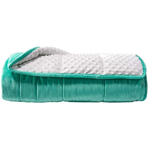 ALANSMA Reversible Weighted Blanket for All Season, Luxury Velvet, Warm and Cool, Adult 15Lb Green Weighted Blanket, Enjoy Sleeping Anywhere(Light Green,60"x80" 15lbs) - Image 1
