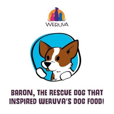 Weruva Classic Dog Food, Variety Pack, Baron's Batch, Wet Dog Food, 14oz Cans (Pack of 12), Multi - Image 10