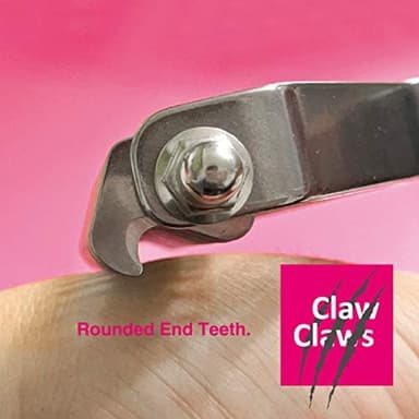 Undercoat Rake with Wooden Handle for Small Dog and Cat, Dematting Tool with Rounded Edge for Removing Tangled Hair, Grooming Rake Brush, Made in Taiwan (S-M, 12 Blades - Image 6