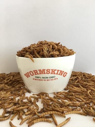 WORMSKING 5LB Dried Black Soldier Fly Larvae, More Calcium Than Dried Mealworms, High Protein Chicken Feed,Duck Food, BSFL, Duck Treats - Image 7
