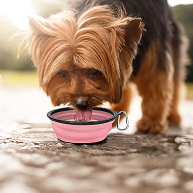 Kytely Large Collapsible Dog Bowls 2 Pack, 34oz Foldable Dog Travel Bowl, Portable Pet Water Food Bowl with Clasp, Pet Cat Feeding Cup Dish for Traveling, Walking, Hiking (Pink+Grey) - Image 6