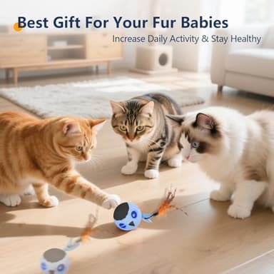 ORSDA Cat Toys, Interactive Cat Toy for Indoor Cats, Automatic Moving Ball Bird for Indoor Adult Cats Kitten Toys All Breeds, Fast Rolling Motion Activated Chirping Stimulating Light, 2 Feather Refill - Image 8