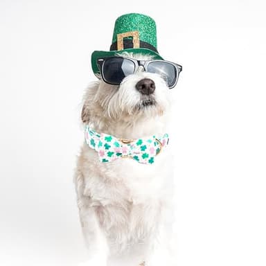 Bobo Rainbow St Patrick's Dog Collar with Bowtie-Trefoil Dog Collar Adjustable Cute Pet Collar Cotton Clovers Dog Collar Dog Collar Holiday Puppy Collar Metal Buckle Collar Gift for Small Dogs - Image 5