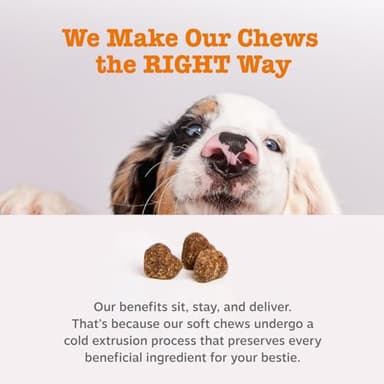 Zesty Paws Dog Allergy Relief- Dog Itching Skin Relief- Dog Probiotics for Itchy Skin and Itchy Ears- Dog Allergy Paw Relief- Dog Allergy Chews- Dog Itch Relief - Dog Skin Allergy Relief - PB - 90ct - Image 8