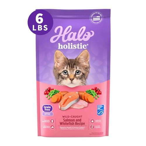 Halo Holistic Kitten Food, Wild Caught Salmon & Whitefish Recipe, Grain Free Dry Cat Food, Complete Digestive Health, 6 lb Bag - Image 1