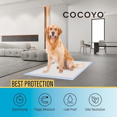 COCOYO Best Value Training Pads, 22" by 22", 100Count - Image 3