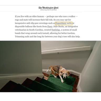 EXPAWLORER 6Pcs Anti-Slip Dog Socks to Prevent Licking Paws,Dog Shoes for Hot/Cold Pavement,Best Paw Protector Traction Control on Hardwood Floor,Dog Booties for Puppy Small Medium Large Senior Dogs - Image 8