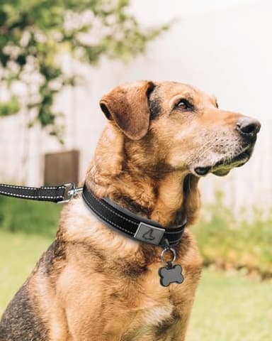 Joytale Dog Collar for Extra Large Dogs, Neoprene Padded and Adjustable, Reflective Wide Heavy Duty Pet Collars with Durable Metal Belt Buckle for Walking, Black, XL - Image 3