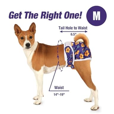 Pet Soft Washable Female Diapers (3 Pack) Female Dog Diapers, Comfort Reusable Doggy Diaper for Girl Dog in Period Heat (Cute Flower, M) - Image 4