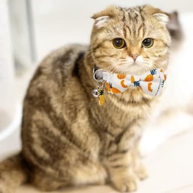 Fruit Cat Collar with Bow Tie Bell and Pendants Breakaway Adjustable Kitten Collars for Spring Summer Pineapple and Orange Pattern - Image 5