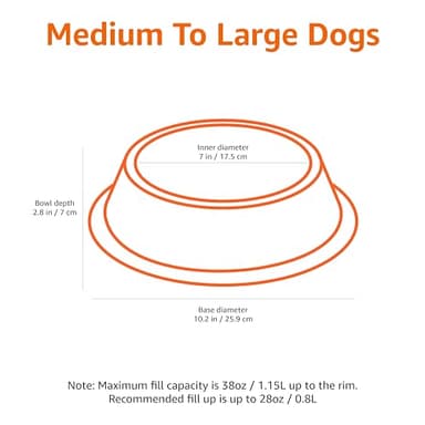 Amazon Basics Stainless Steel Dog Bowl, Single - Image 2