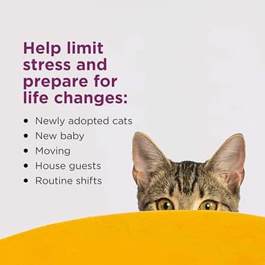 COMFORT ZONE 6 Pack Cat Calming Diffuser Refills; 30-day Refills; Pheromones Help Cat Anxiety - Image 3