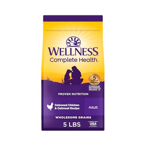 Wellness Complete Health Dry Dog Food with Grains, Natural Ingredients, Made in USA with Real Meat, All Breeds, For Adult Dogs (Chicken & Oatmeal, 5-Pound Bag) - Image 1