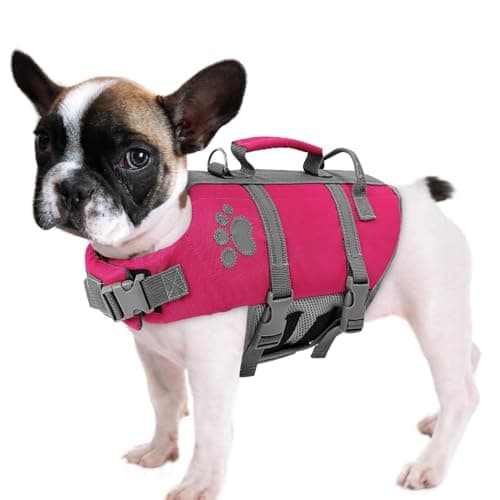 Queenmore XS Dog Life Jacket, Puppy Life Jackets for Small Dogs, Doggie Life Vest for Swimming, Lightweight Extra Small Dog Life Vest with Handle Adjustable Pet Preserver for Boating, Cat Lifevest - Image 1