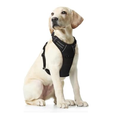 Funfox Dog Harness No Pull, Adjustable Pet Vest Harness Black M with Handle, 2 Leash Clips for Daily Walking Easy Control, Soft Durable Reflective Comfortable for Medium Sized Dogs - Image 1