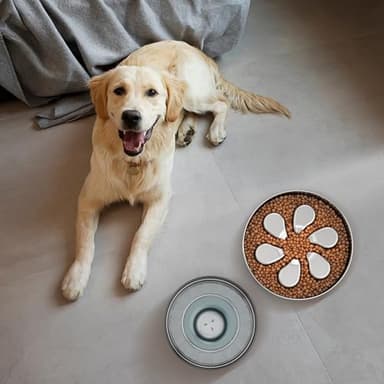 Feedoo Slow Feeder Dog Bowls Large Breed 3Cups, Food Grade 304 Stainless Steel Dog Bowls with Non-Slip Base, Maze Pet Dish to Slow Down Eating, Metal Slow Feeder Dog Bowl - Image 8