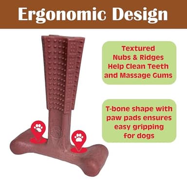SPOT Bam-Bones Plus T Bone - Bamboo Fiber & Nylon Dog Chew Toy for Moderate to Aggressive Chewers, Non-Splintering, Long-Lasting, 7in Beef Flavor, for Adult Dogs & Teething Puppies Under 90lbs - Image 9