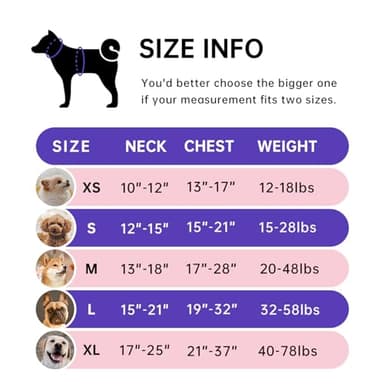 IVY&LANE No Pull Dog Harness for Large Dogs, Dog Vest Harness with Leash, Safety Belt and Storage Strap, Fully Adjustable Harness, 360° Reflective Strip, Soft Handle (Purple, L) - Image 2