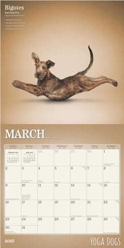 Yoga Dogs OFFICIAL | 2025 12 x 24 Inch Monthly Square Wall Calendar | Plastic-Free | BrownTrout | Animals Humor Pets - Image 3