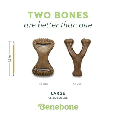 Benebone 2-Pack Wishbone/Dental Durable Dog Chew Toys, Real Bacon, Made in USA, Large - Image 4