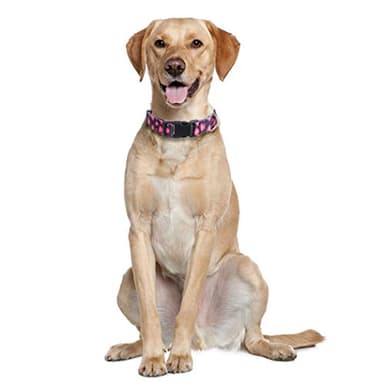 2 Pack Valentine's Day Dog Collar Adjustable Love Heart Large - Image 5