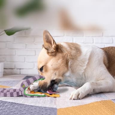 Fuzzwoof Hide and Seek Dog Toys, No Stuffing Snake Squeaky Dog Toy, Puppy Toys for Teething, Tug of War Toy for Small Medium and Large Breed Durable Dog Toy to Keep Them Busy - Image 7