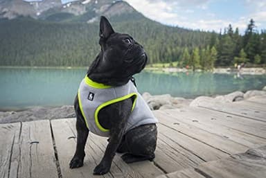 JUXZH Truelove Dog Cooling Vest Harness Cooler Jacket with Adjustable Zipper for Outdoor Hunting Training and Camping - Image 6