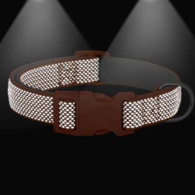 Didog Soft Padded Dog Collar with Quick Released Buckle, Reflective Dog Collar for Large Dogs, Adjustable Nylon Pet Collar for Daily Walk, Orange, L - Image 4