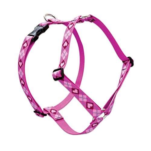 LupinePet Originals 1" Puppy Love 24-38" Adjustable Roman Dog Harness for Large Dogs