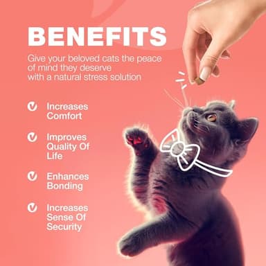 Flea Treatment for Cats - Daily Oral Cat Flea and Tick Treatment Chews - Chewable Kitten Flea Treatment - Soft Treats for All Breeds & Ages - Natural Chicken-Flavor Flea and Tick Supplement for Cats - Image 7