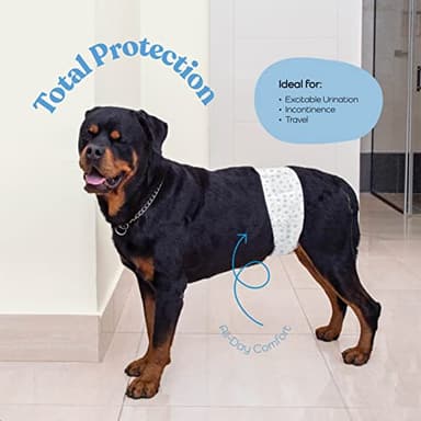 Comfortable Male Dog Diapers - 50-Pack Super Absorbent Disposable Male Dog Wraps- FlashDry Gel Technology, Wetness Indicator Doggie Diapers- Leakproof Belly Wraps for Incontinence, Excitable Urination - Image 2