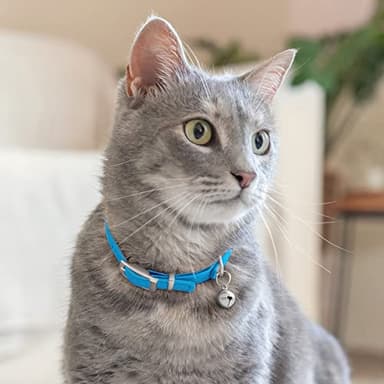 CollarDirect Leather Cat Collar with Bell - Kitten Collar, Small and Big Cat for Boy Cats, Girl Cats with Safety Elastic Strap (Neck Fit 8"-11", Light Blue) - Image 6