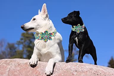 DOGWONG Flower Dog Collar for Female or Male Dogs, Summer Green Pet Collar Adjustable Dog Collars with Flower for Medium Dogs - Image 4