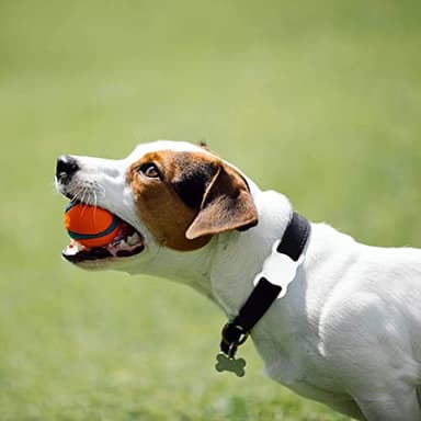 SWINCHO for AirTag Dog Collar Holder [2 Pack] Waterproof High-Strength Elastic Silicone Dog Cat Air Tag Holder, (Black&White) - Image 5